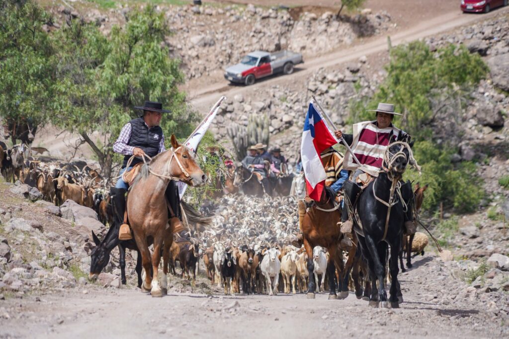 Piedras Bonitas celebró nueva edición de su tradicional  Fiesta del Criancero y Trashumante