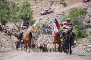 Piedras Bonitas celebró nueva edición de su tradicional  Fiesta del Criancero y Trashumante